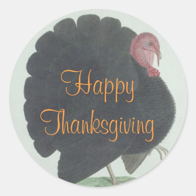 Adesivo Vintage Thankiness Sticker (Frente)