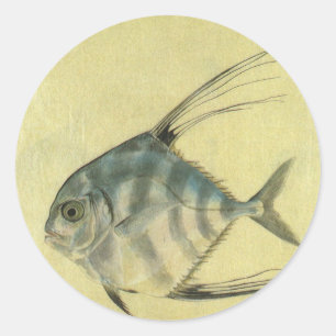 Adesivo Vintage Threadfin Trevally, Peixe Pompano Africano