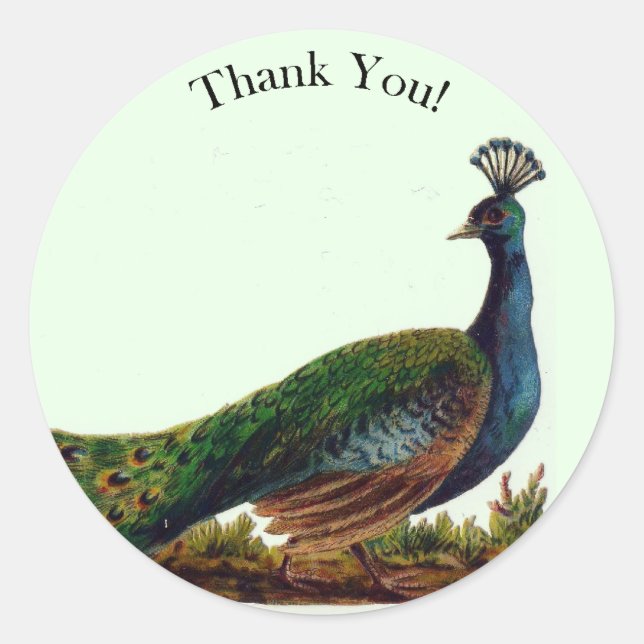 Adesivo Vintage Victorian Peacock Obrigado (Frente)