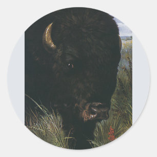 Adesivo Vintage Wild Animal, Buffalo ou American Bison