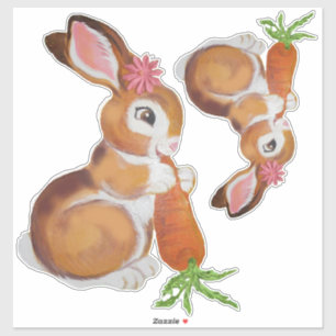 Adesivo Vintage Woodland Baby Bunny Rabbit Nurseror Decor