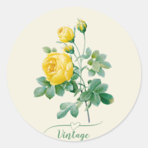 Adesivo Vintage Yellow Rose Fine art