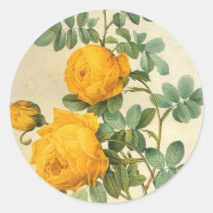 Adesivo Vintage Yellow Rose Sticker