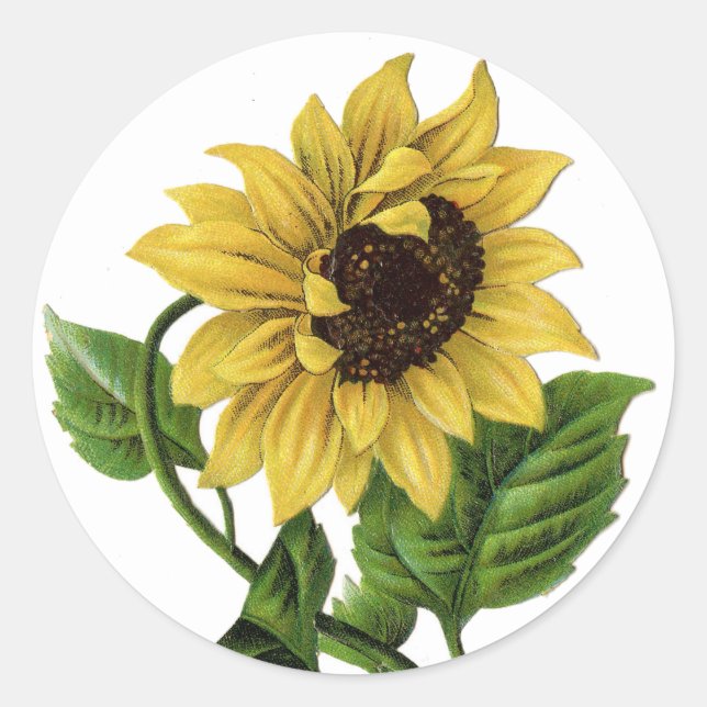 Adesivo Vintage Yellow Sunflower Graphic Sticker (Frente)