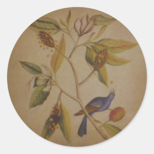 Adesivo Vintagem Floral Blue Bird ~ Sticker Nature