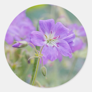 Adesivo Violet Geranium Wildflower Dreamy Photo
