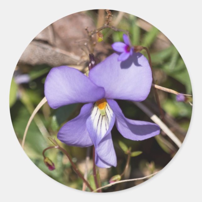 Adesivo Violeta Pata de Pássaro c/ Azulejos (Frente)