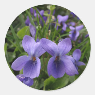 Adesivo violetas