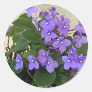 Adesivo Violetas azuis