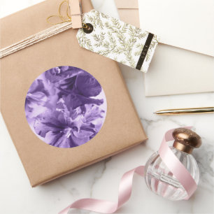 Adesivo Violetas monocromáticas