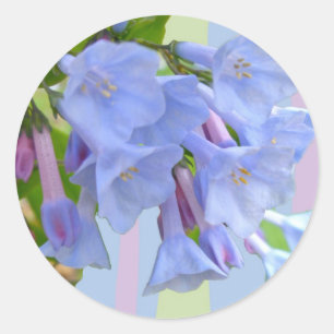 Adesivo Virginia Bluebells Wildflower Sticker