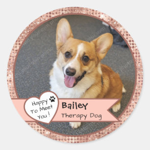 Adesivo Visita de Cão de Terapia Brilho Rosa Personalizado