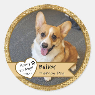 Adesivo Visita de Cão Terapia Brilho Dourado Personalizado