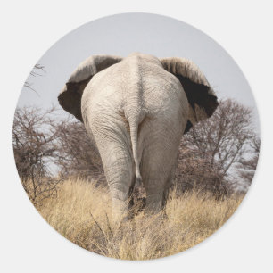 Adesivo Vista traseira de elefante