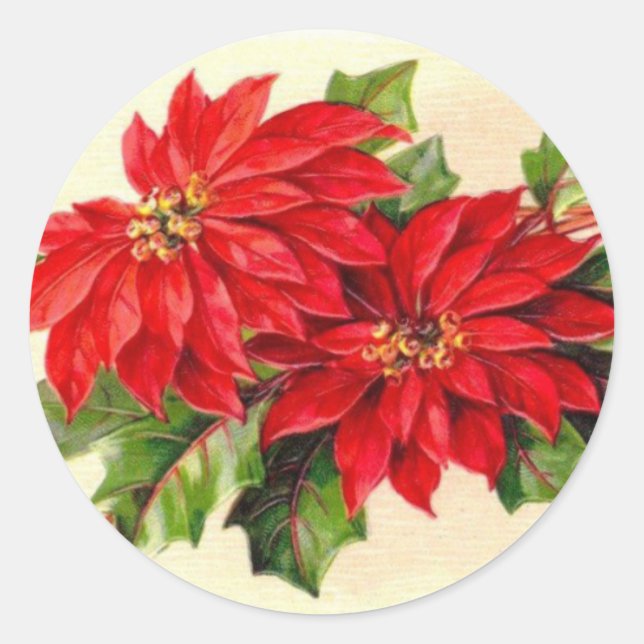 Adesivo Vítima de Natal da Poinsettia Victorian (Frente)