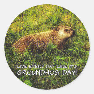 Adesivo Vive cada dia como é dia de Groundhog!