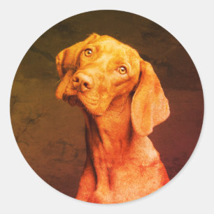 Adesivo Vizsla