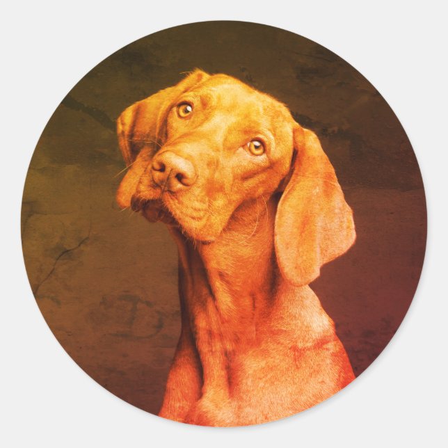 Adesivo Vizsla (Frente)