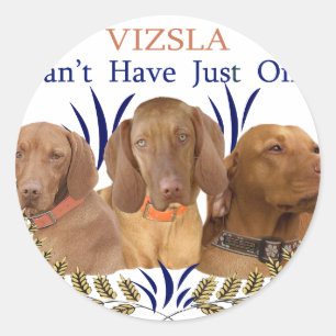 Adesivo Vizsla não pode ter apenas um produto