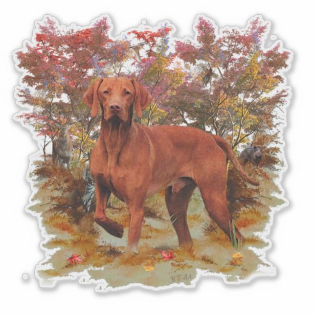 Adesivo Vizsla Sticker (Frente)