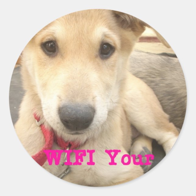 Adesivo Você Deveria Fazer O Seu Amor Todos Os Dias (Frente)