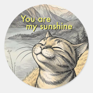 Adesivo Você É Meu Sol Gato Feliz Envelope, Pacote