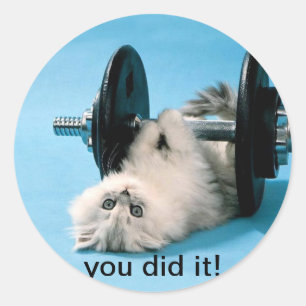 Adesivo você fê-lo