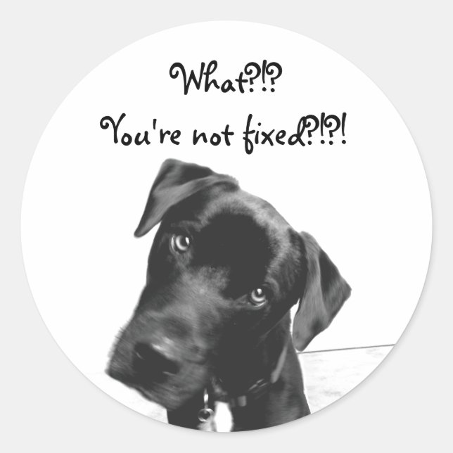 Adesivo Você não está consertado (Frente)