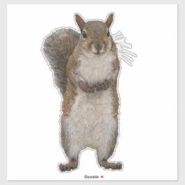 Adesivo Você tem algumas loucos?