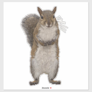 Adesivo Você tem algumas loucos?