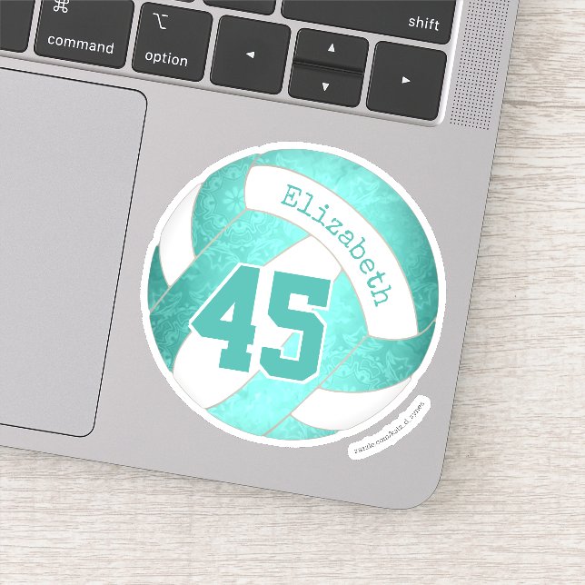 Adesivo vôlei de tartaruga giratória (Detalhe)