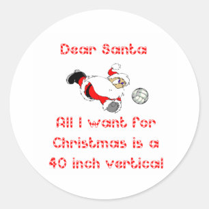 Adesivo VolleyChick Dear Papais noeis 1 lado