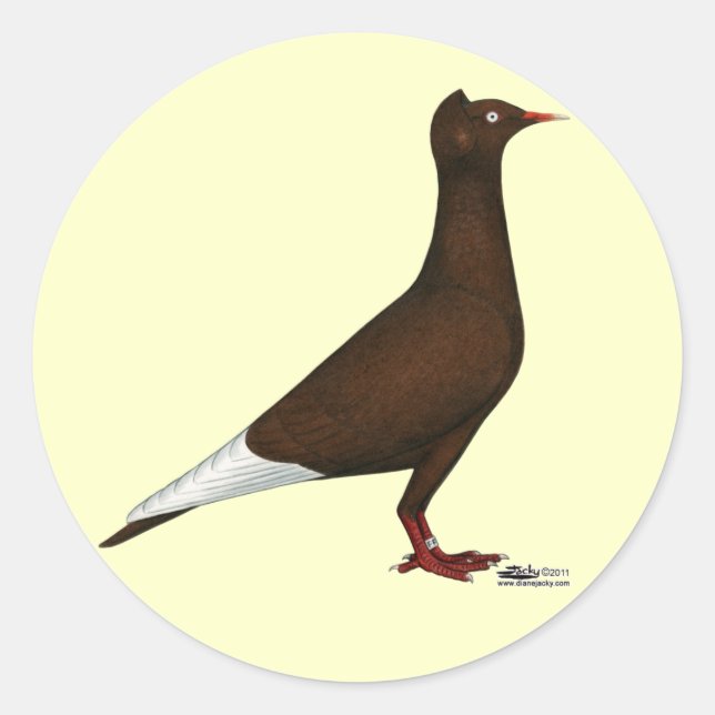 Adesivo Voo Boné de Voo Pombo (Frente)