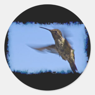Adesivo Voo do Hummingbird