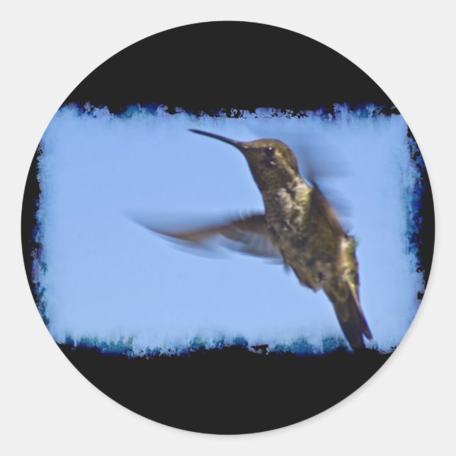 Adesivo Voo do Hummingbird (Frente)