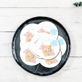 Adesivo Voto do Partido Revelação de Gênero do Team Boy