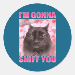 Adesivo Vou Cheirar Você Memes Engraçados de Gatos Mulhere