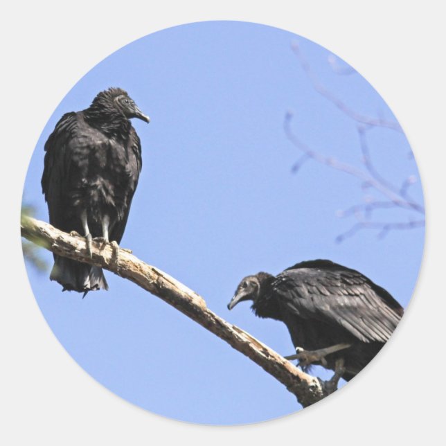 Adesivo Vulcões Pretos (Frente)