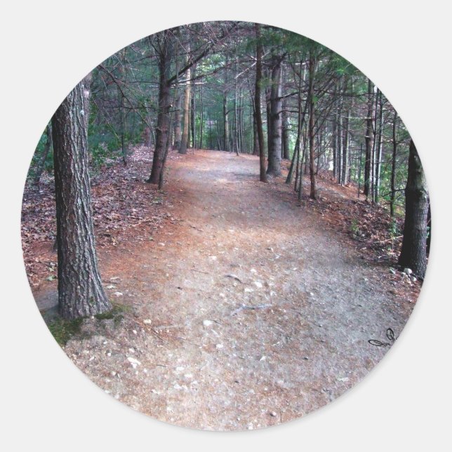 Adesivo Walden Pond Trail Sticker (Frente)