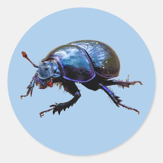 Adesivo Waldmistkäfer Dor Beetle Blauer Dung Bug T-Shirt (Frente)