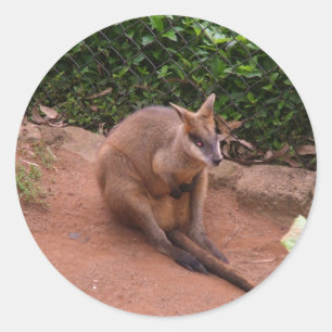 Adesivo Wallaby