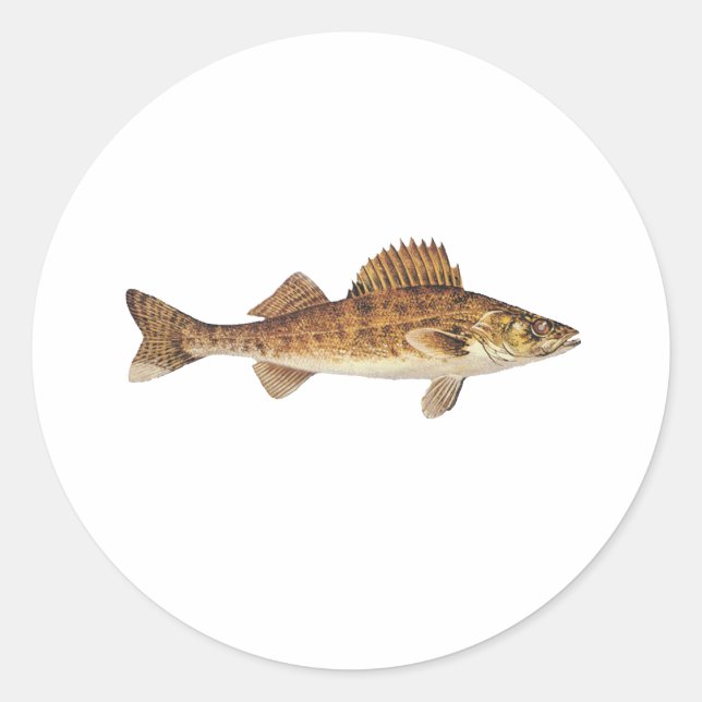 Adesivo Walleye Art (Frente)