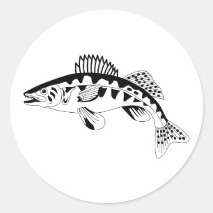 Adesivo Walleye Outline