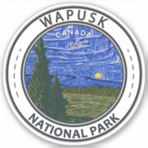 Wapusk National Park Norte Lights Vintage