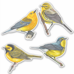 Adesivo Warblers Stickers Value Pack