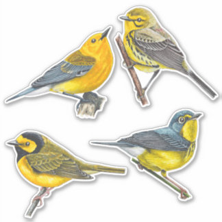 Adesivo Warblers Stickers Value Pack