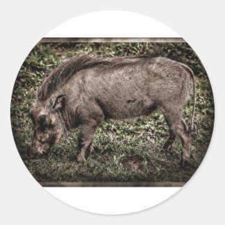 Adesivo Warthog.