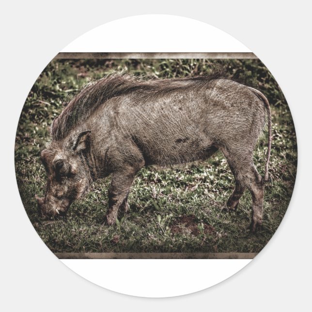 Adesivo Warthog. (Frente)