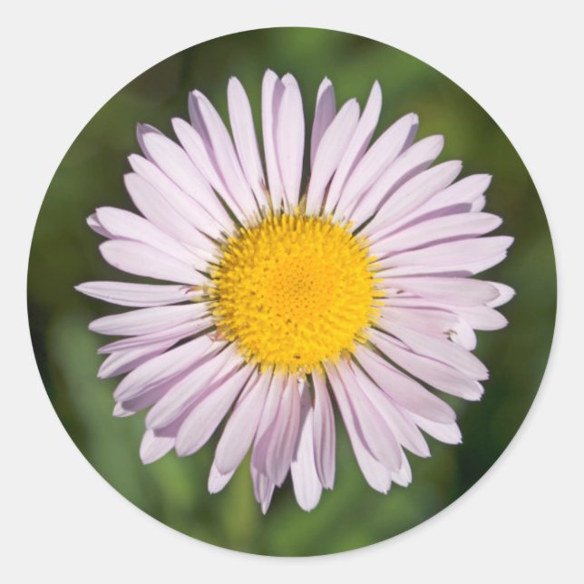 Adesivo Washington, Cascade Range, Monte Baker (Frente)