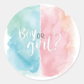 Adesivo Watercolor Boy or Girl Gender Reveal Party Shirt